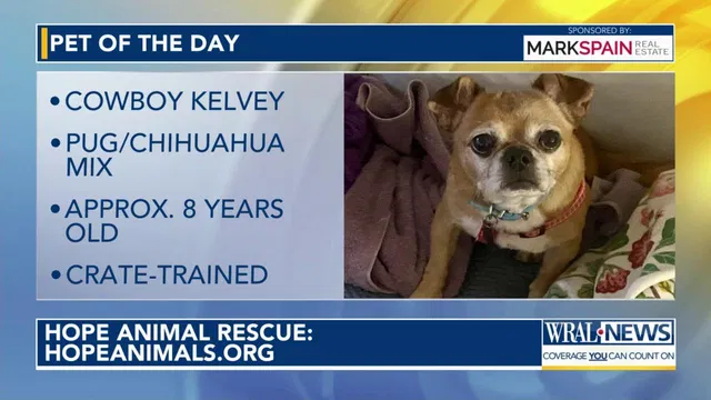 Pet of the Day for Feb. 19, 2026