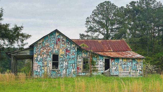 Live: Take a firsthand walk through the Barnstormer Murals