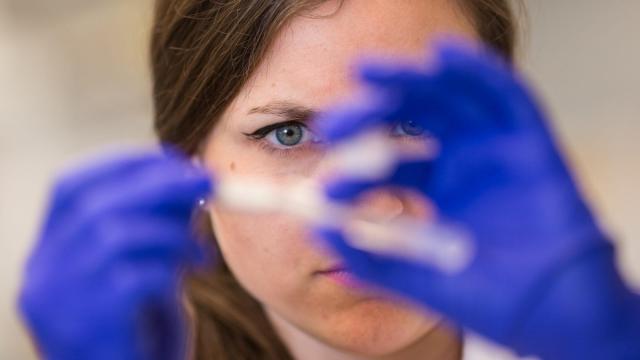 State budget would revamp NCInnovation, group tasked with funding university research with commercial potential
