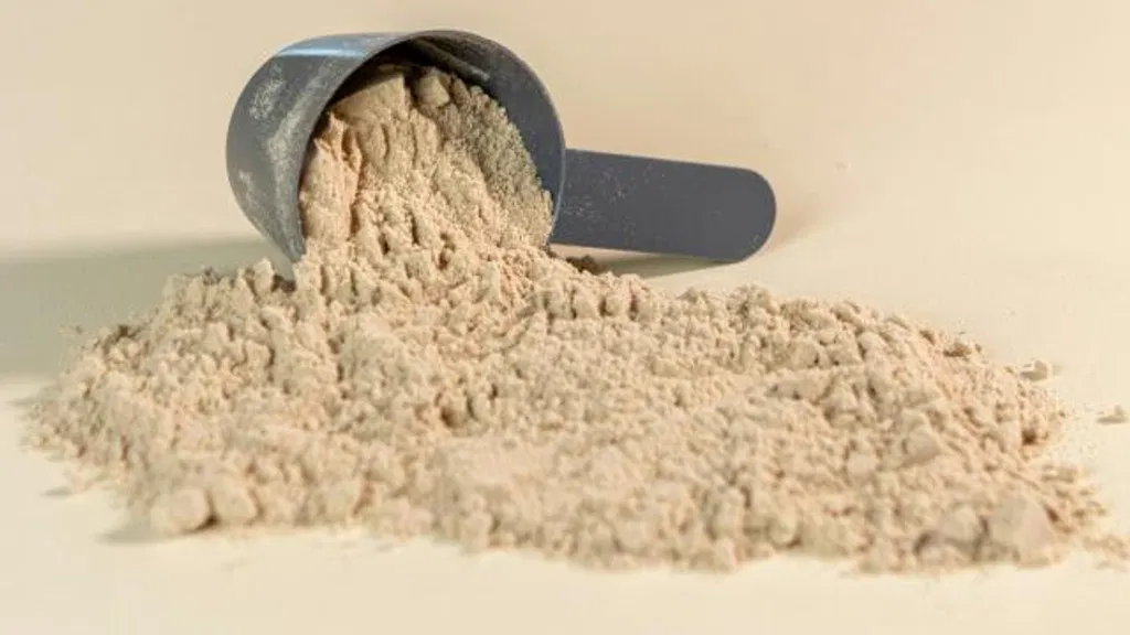 High levels of lead found in popular protein powders, new report finds